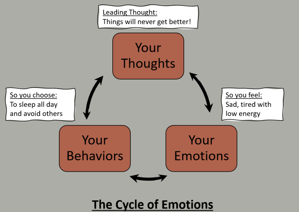 diagram of the human emotions and how they affect our lives